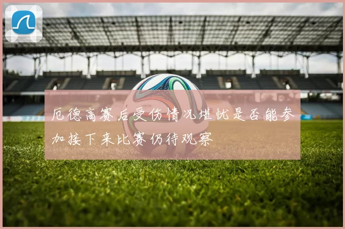 厄德高赛后受伤情况堪忧是否能参加接下来比赛仍待观察