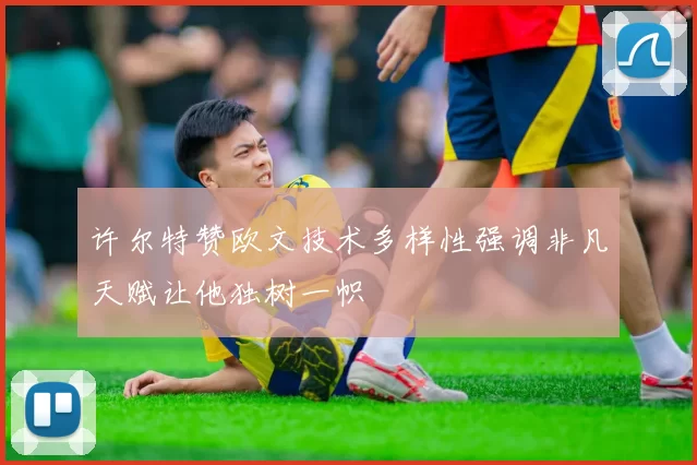 许尔特赞欧文技术多样性强调非凡天赋让他独树一帜