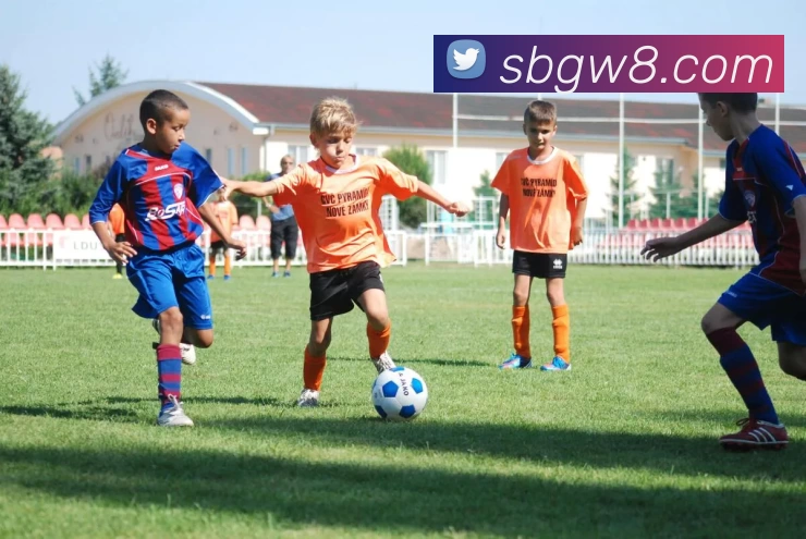 多媒体互动体验